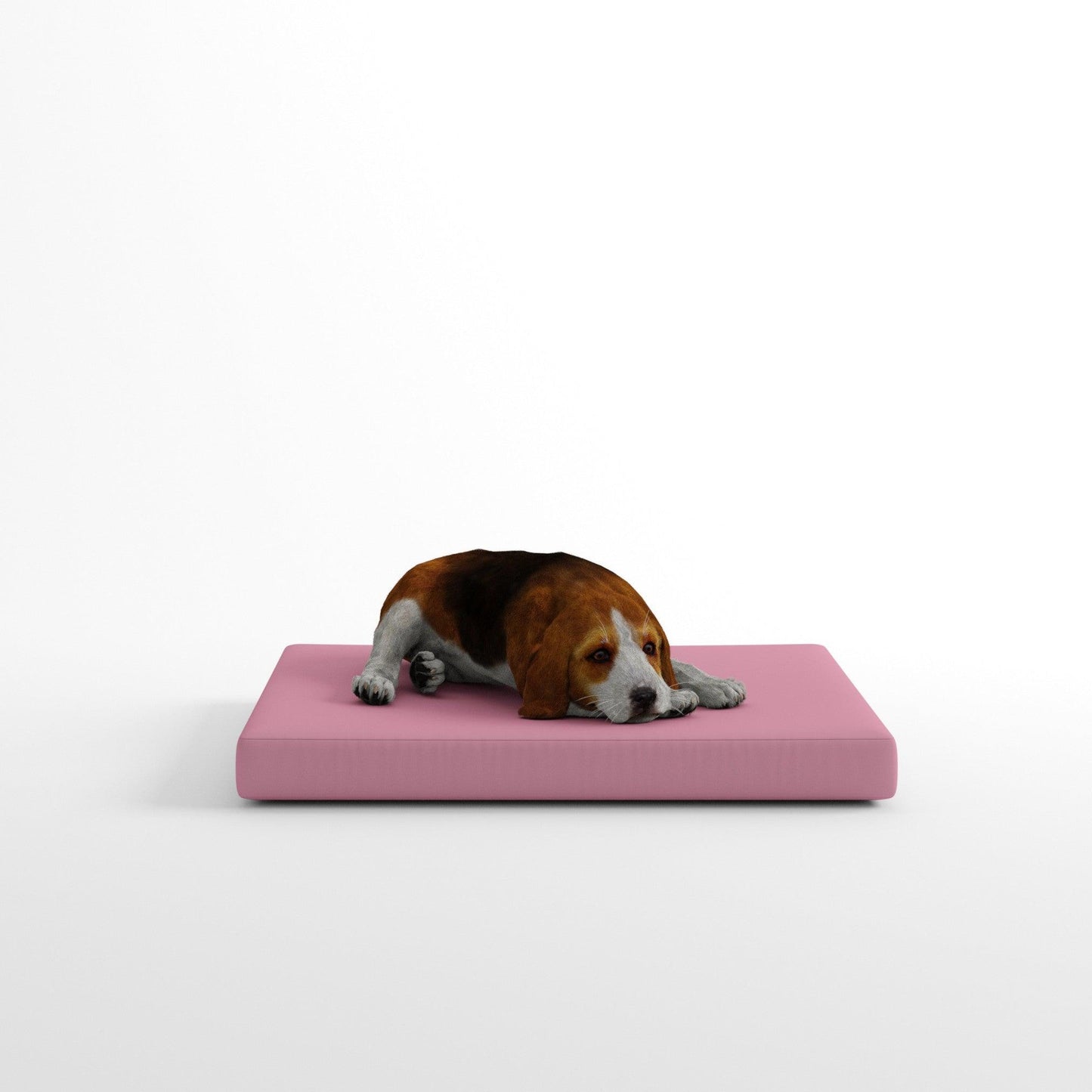 Coussin extérieur pour chien