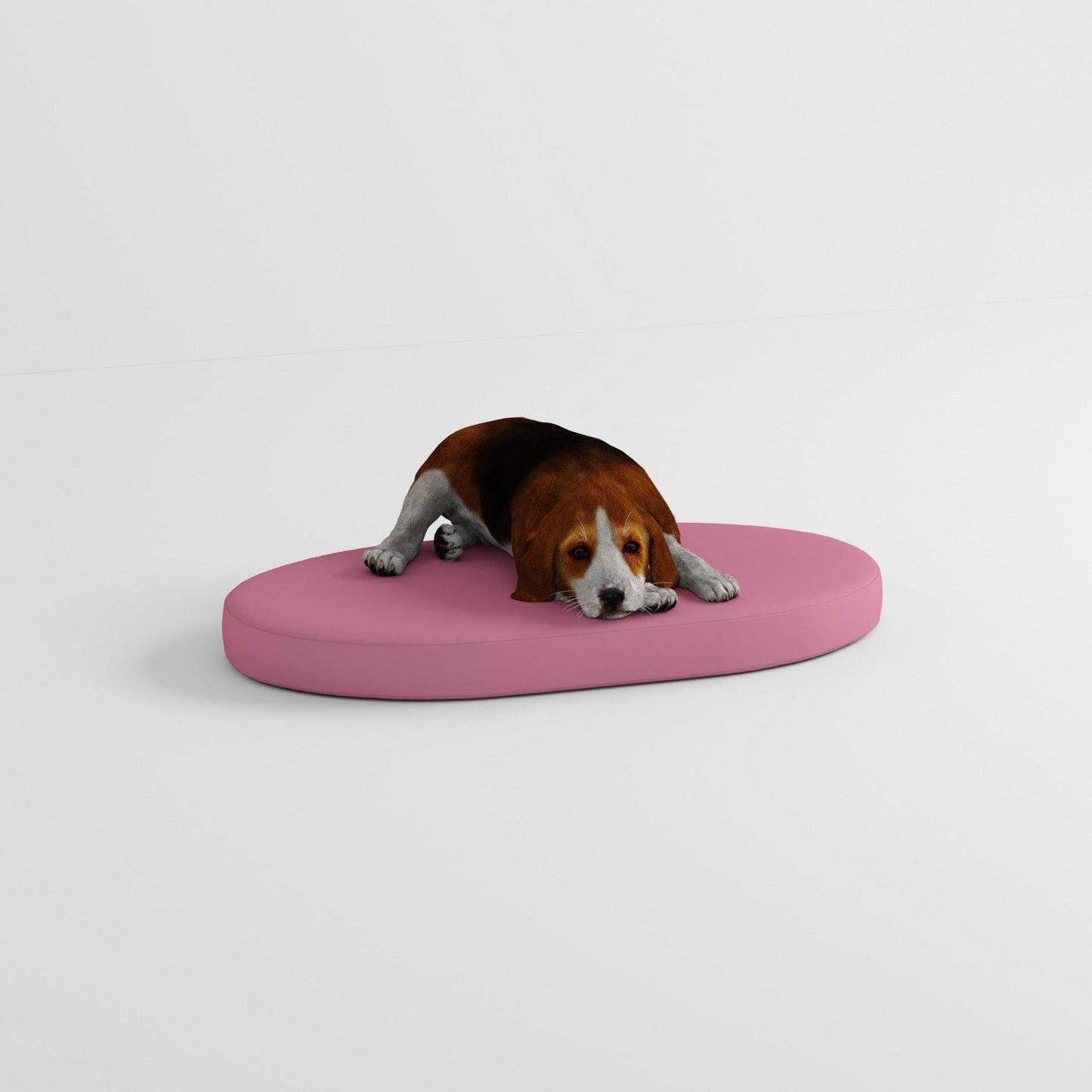 Coussins pour chiens ovales et ronds d'intérieur sur mesure
