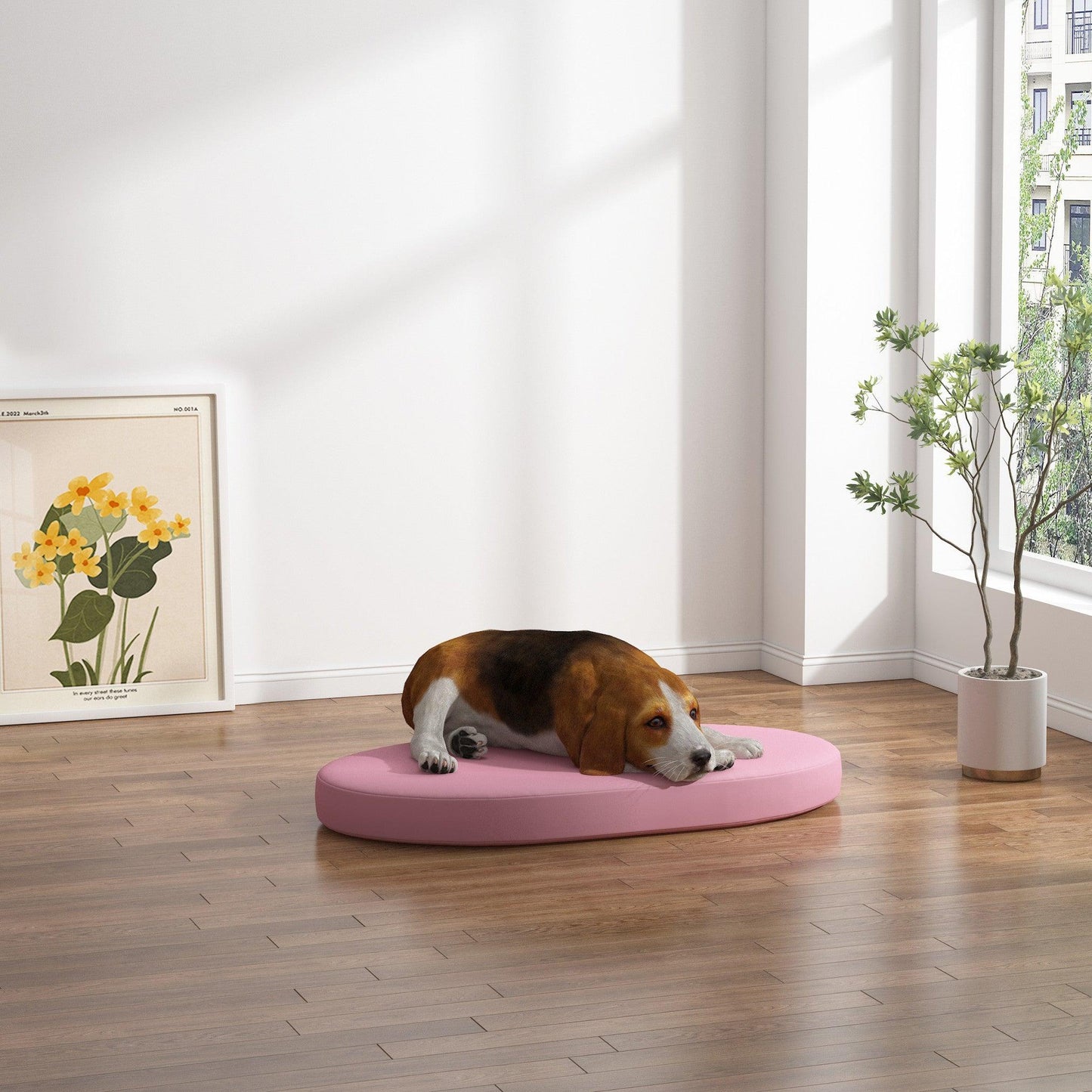 Lits pour chiens ovales et ronds sur mesure