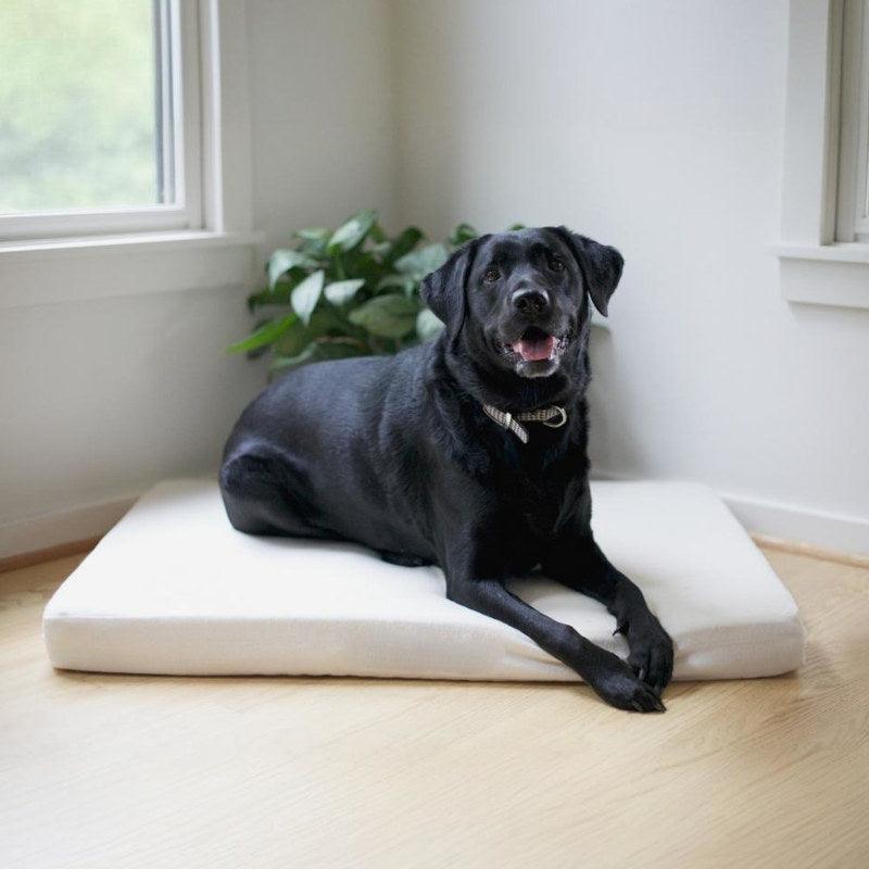 Coussin pour chien