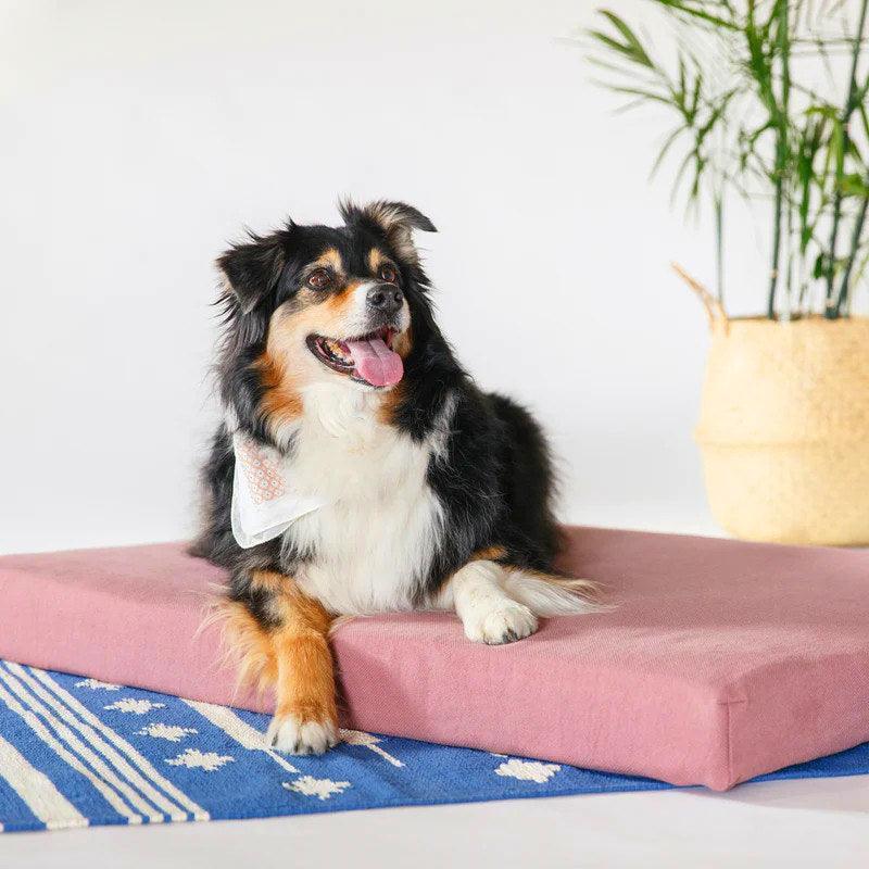 Lit pour chien