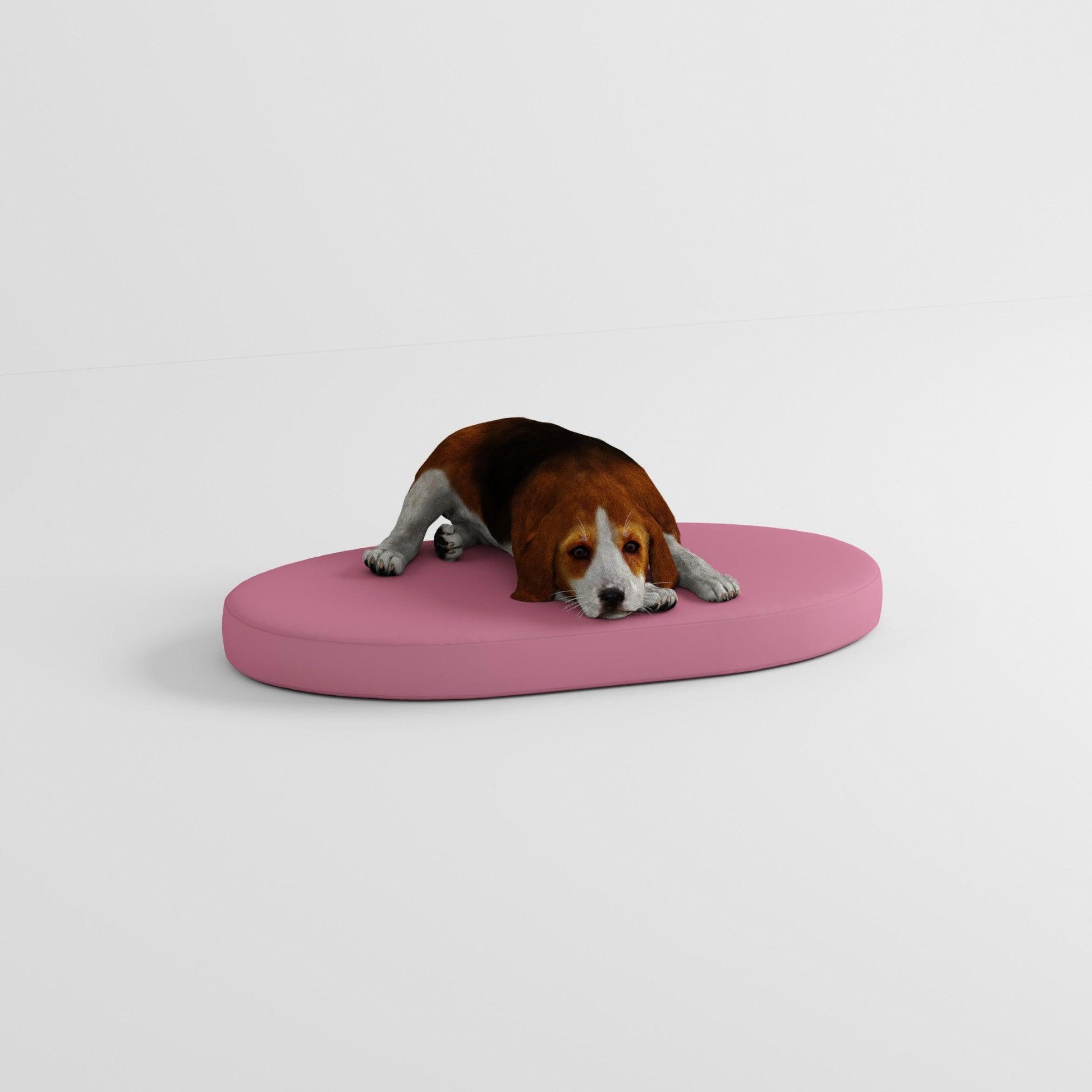 Coussins pour chien d'extérieur ovales et ronds sur mesure