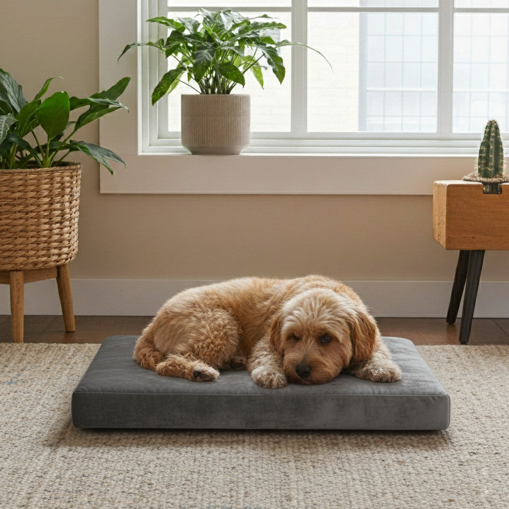 Indoor Hundekissen nach Maß